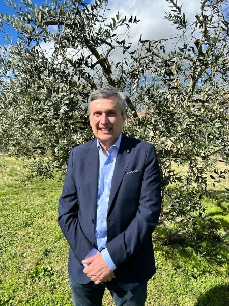 perini
